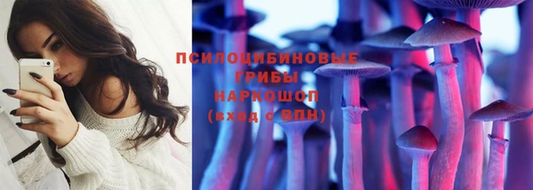 прущий лед Алексеевка