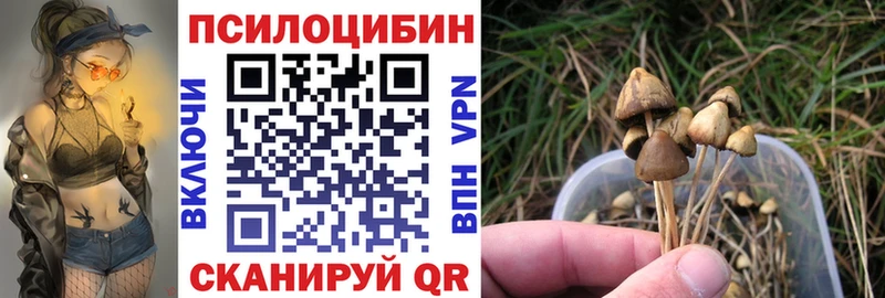 Галлюциногенные грибы Psilocybine cubensis  Ипатово 
